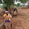 Indien Corona Saatgut Bauern Feld Spenden