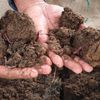 Bioerde biodünger Würmer Kompost