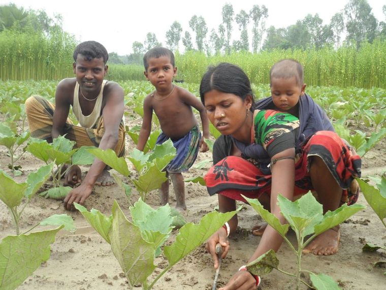 Hunger und Armut ökologischer Anbau Bangladesch