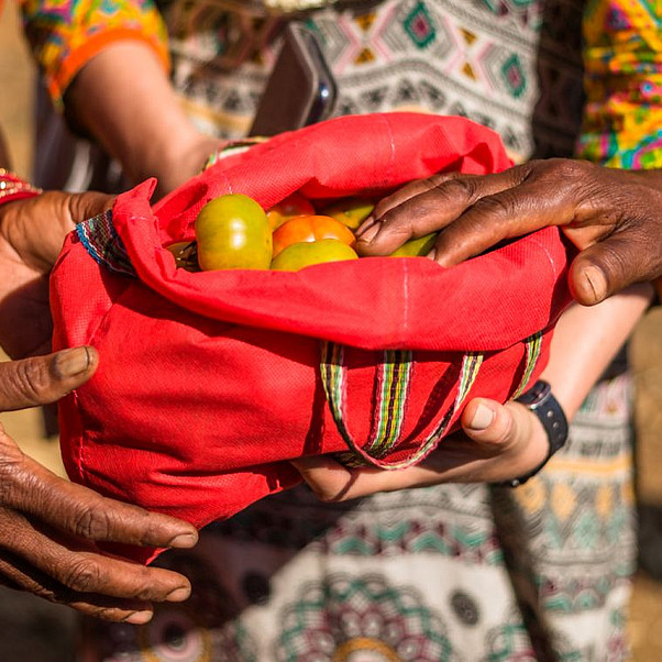 Hände halten einen roten Beutel mit Tomaten