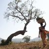 Indische Frau mit Korb auf dem Kopf vor einem Baum