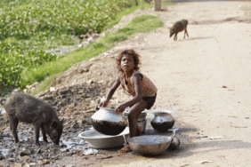 Indien: Junge sitzt auf der Strasse und füttert Schweine